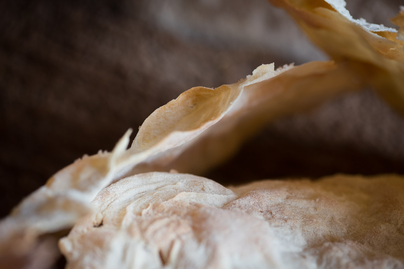 Rezept für Knackige Brotfladen hauchdünn selbst gebacken Langzeitgeführung Hefeteig Weißbrot Marian Moschen Food Fotografie