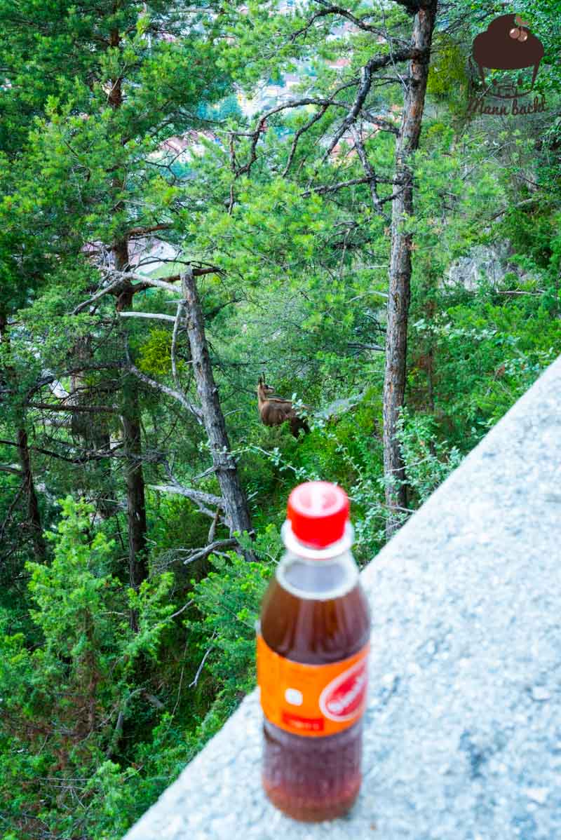 Sinalco Cola mit Mineralwasser